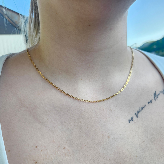 Filigrane Halskette/PVD Goldbeschichtet